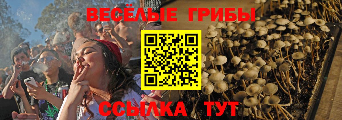 Заводоуковск  ГАШИШ  Каннабис  Вход с VPN  Лсд 25  Меф МЯУ МЯУ кристаллы  Вейп ТГК 