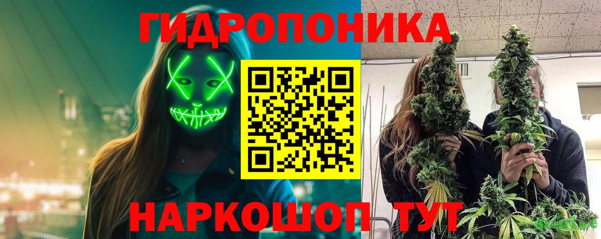 Заводоуковск  Каннабис VHQ  Вход с VPN  Марихуана семена 